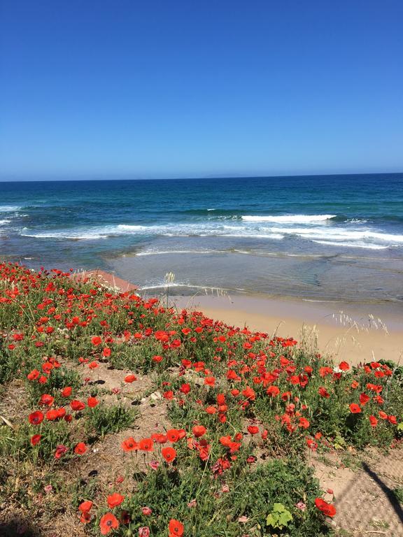 Artemisia Sardegna Ξενοδοχείο Tergu Εξωτερικό φωτογραφία